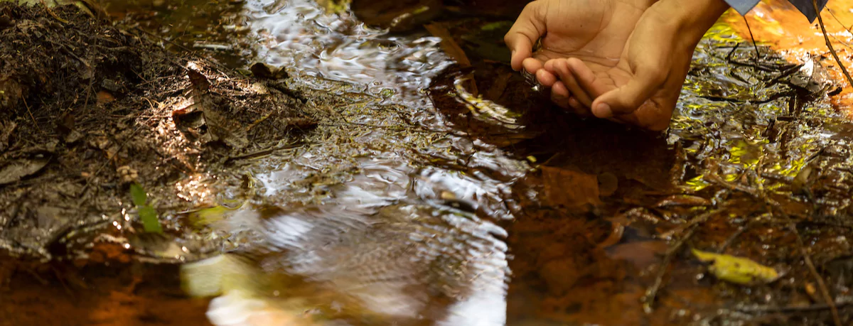 Especialista socioambiental analisa o estado da água e da vegetação na região de Periquito, Minas Gerais (25 de agosto de 2020).