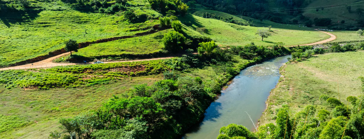 Trecho do Rio Gualaxo do Norte, em Área de Preservação Permanente (APP) onde ocorreram ações de revegetação e restauração florestal no distrito de Paracatu de Baixo, em Mariana (Minas Gerais). Registro de 19 de abril de 2024.